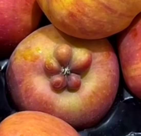 Liście zielonej herbaty